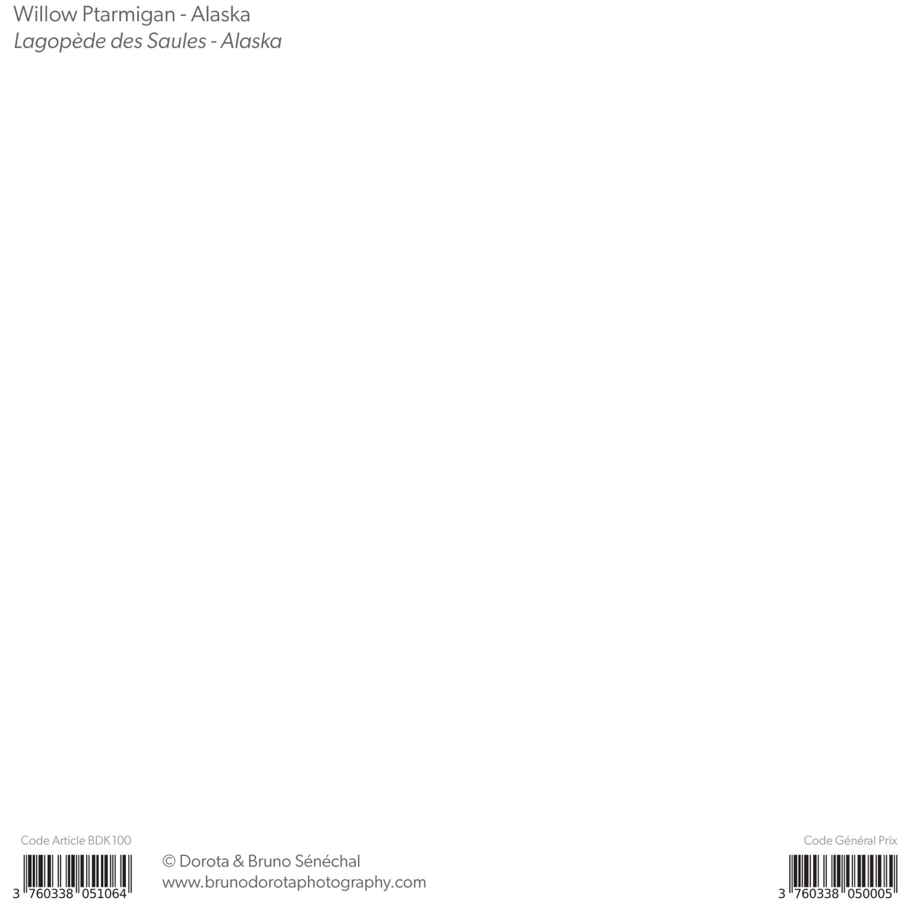 Grand aperçu produit: assets/model/product/100.jpg