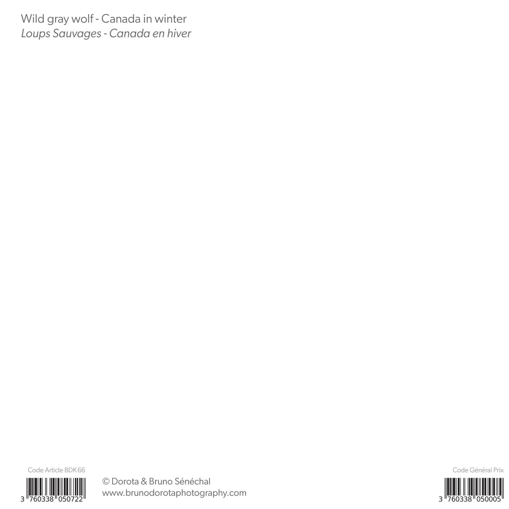 Grand aperçu produit: assets/model/product/66.jpg