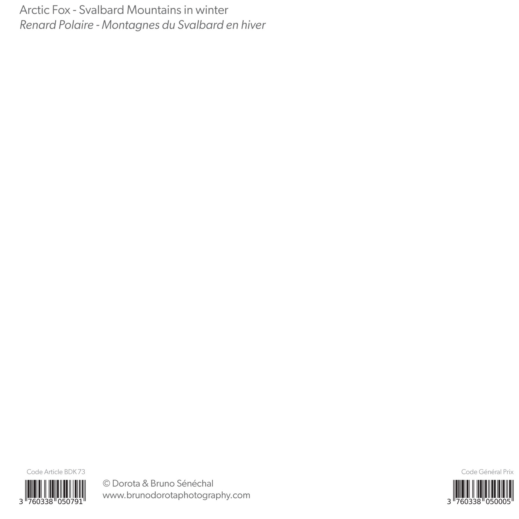Grand aperçu produit: assets/model/product/73.jpg