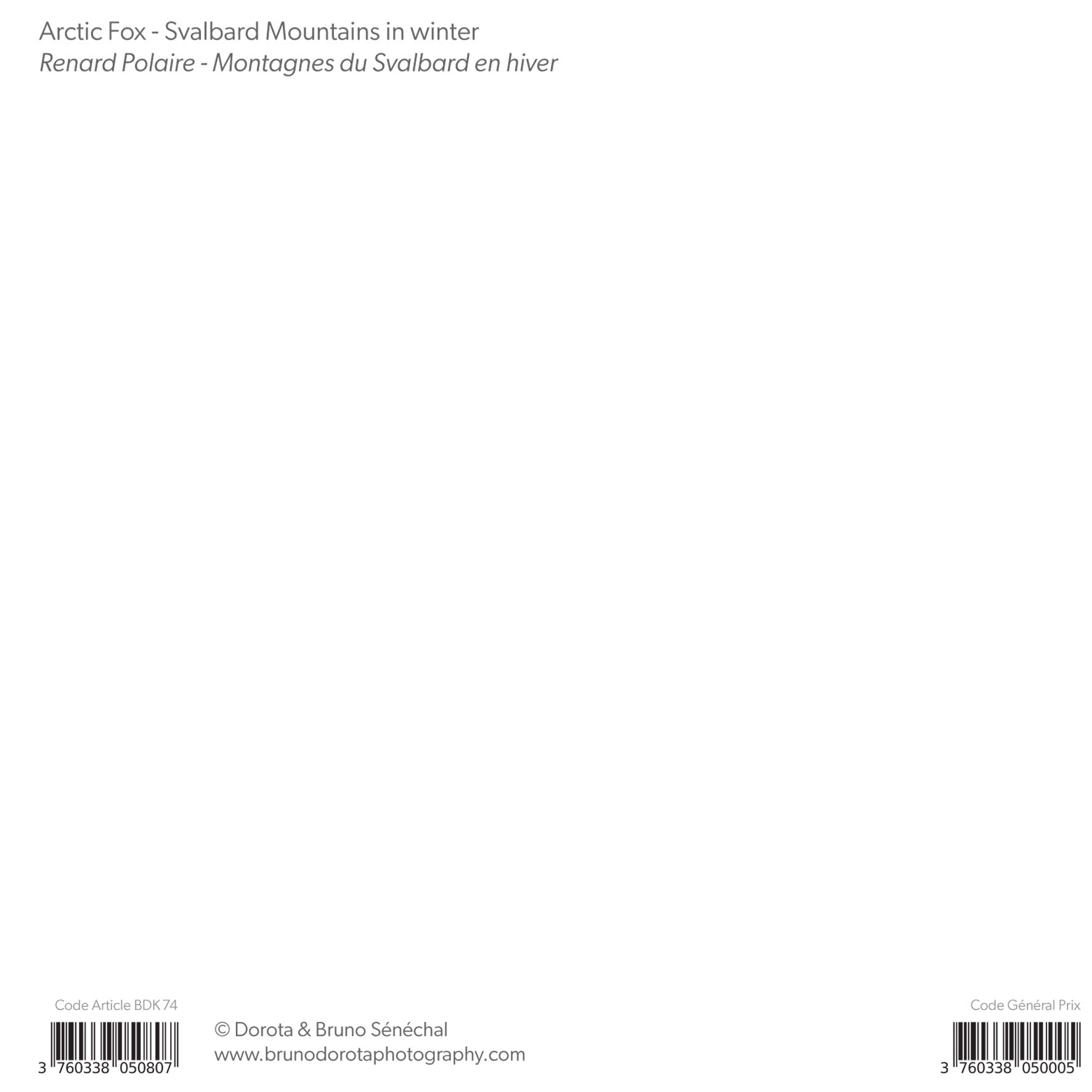 Grand aperçu produit: assets/model/product/74.jpg