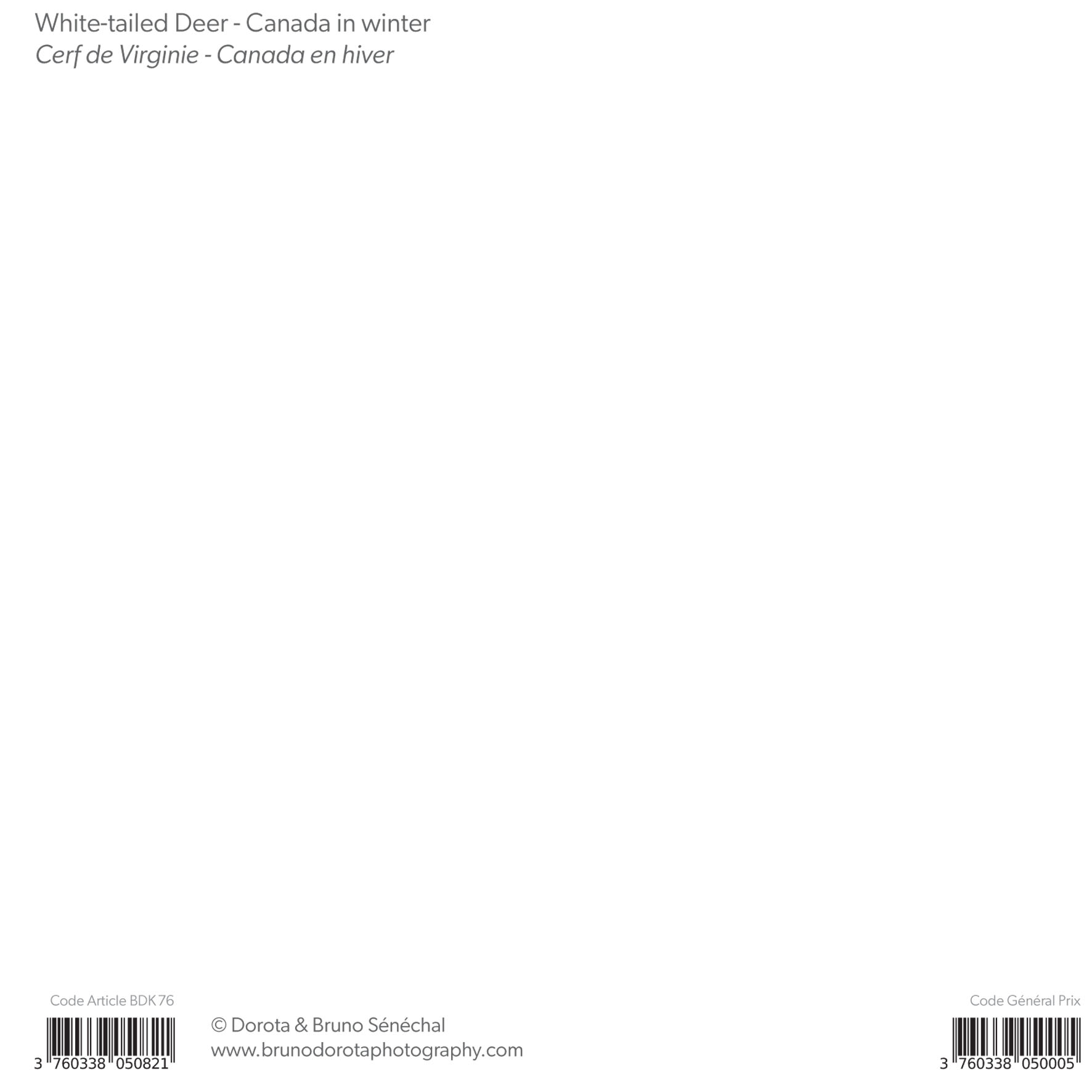 Grand aperçu produit: assets/model/product/76.jpg