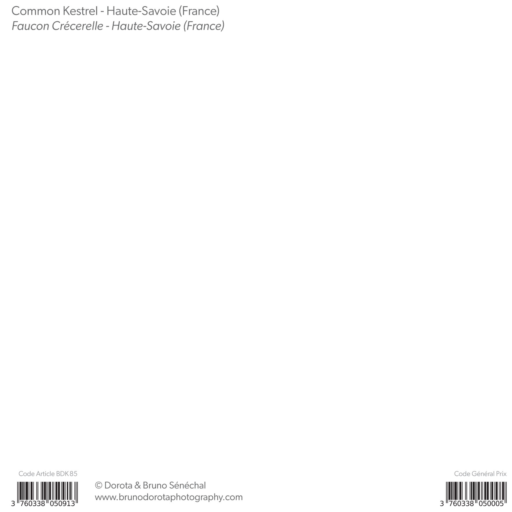 Grand aperçu produit: assets/model/product/85.jpg