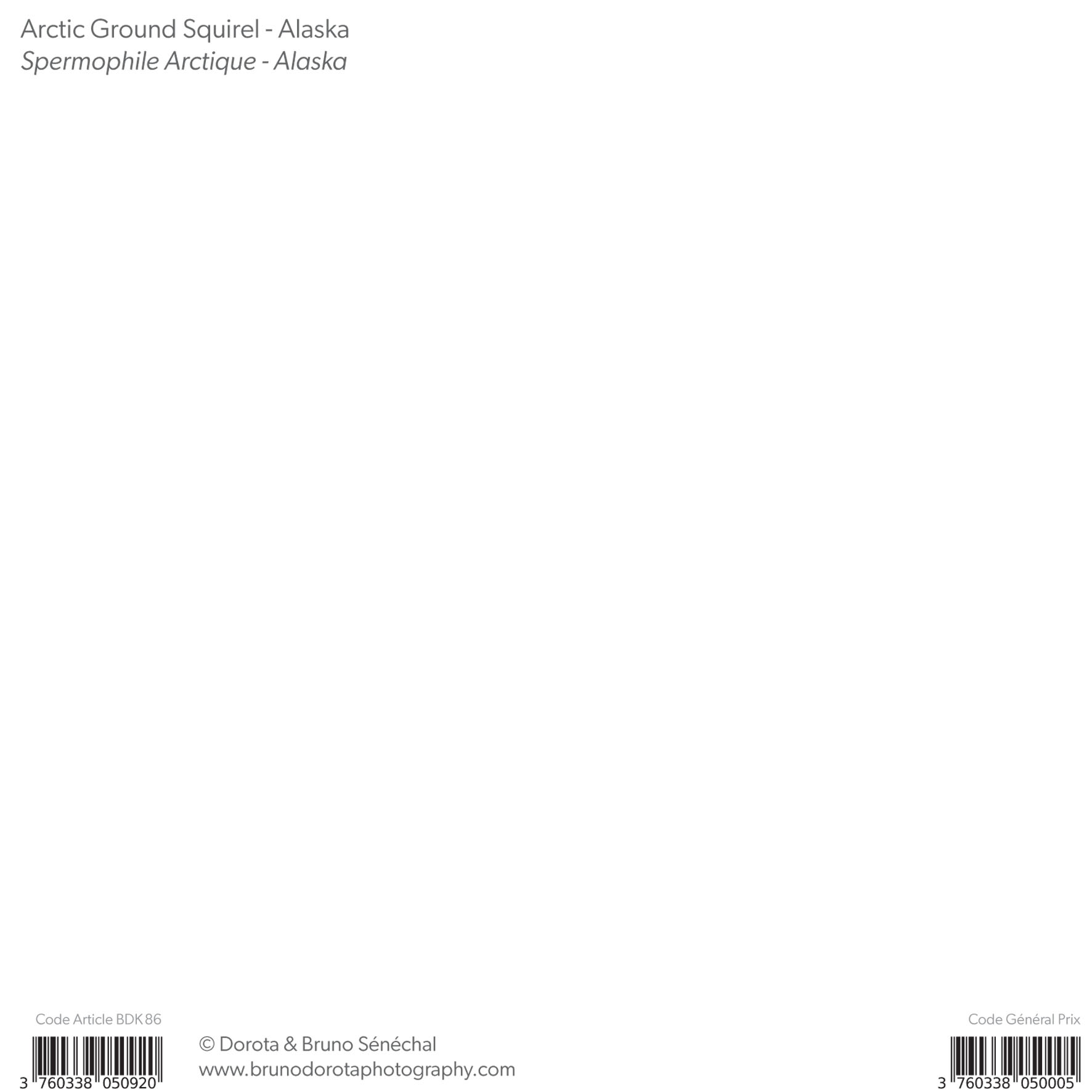Grand aperçu produit: assets/model/product/86.jpg