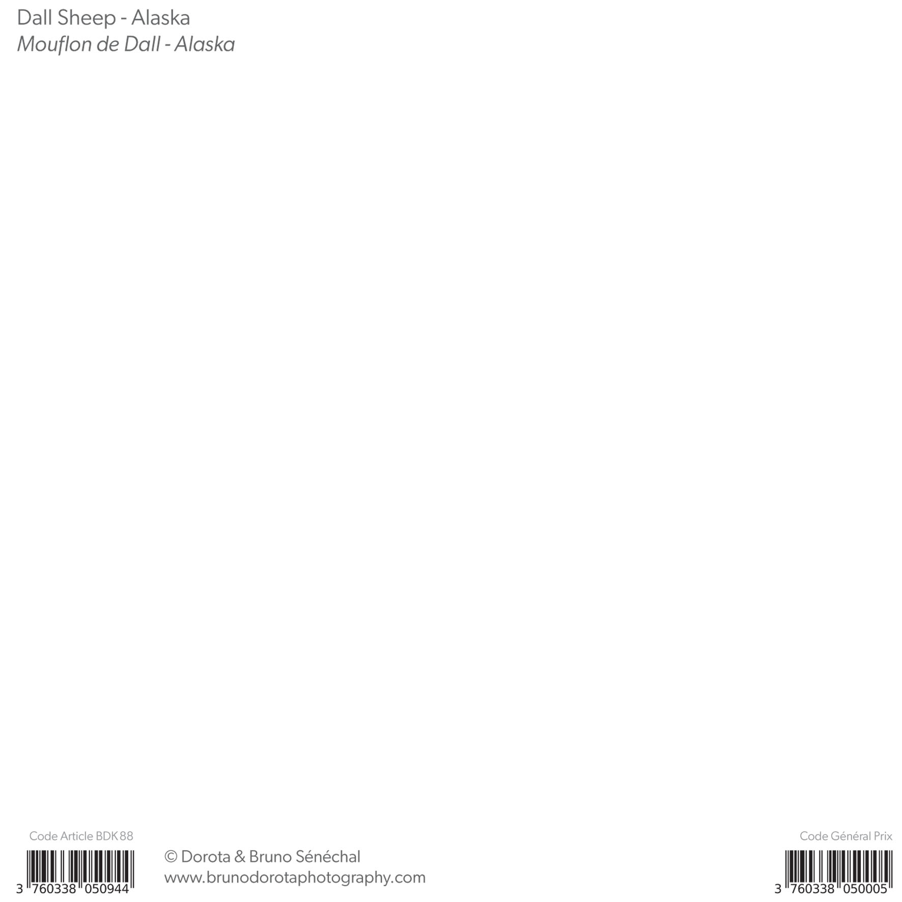 Grand aperçu produit: assets/model/product/88.jpg