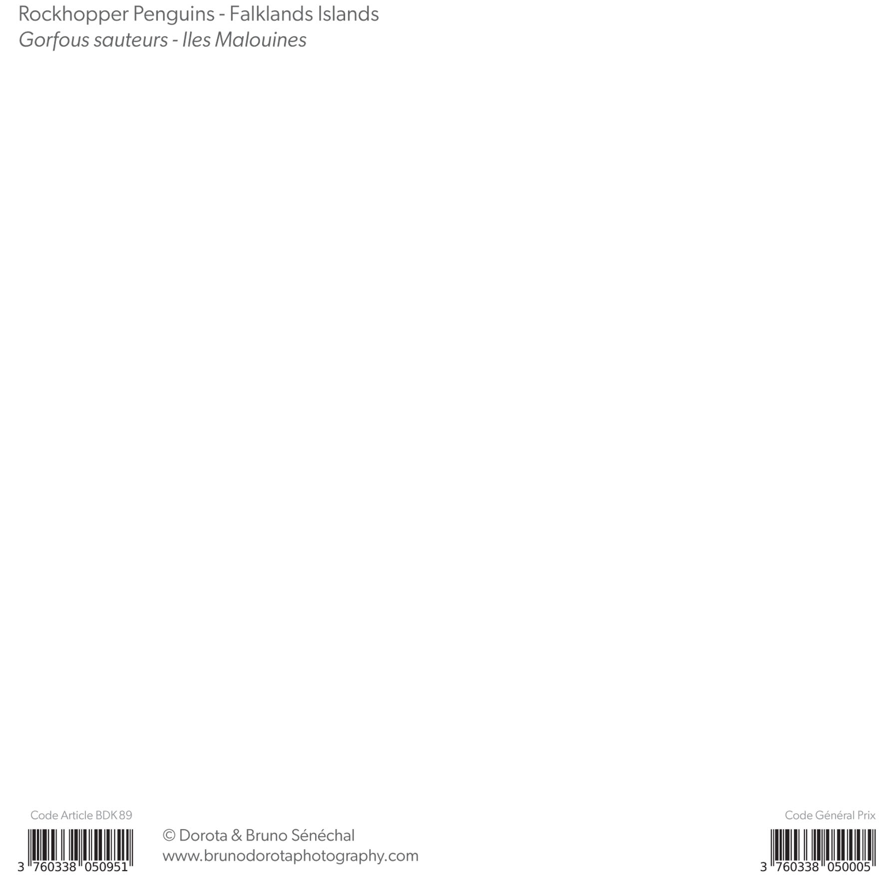 Grand aperçu produit: assets/model/product/89.jpg