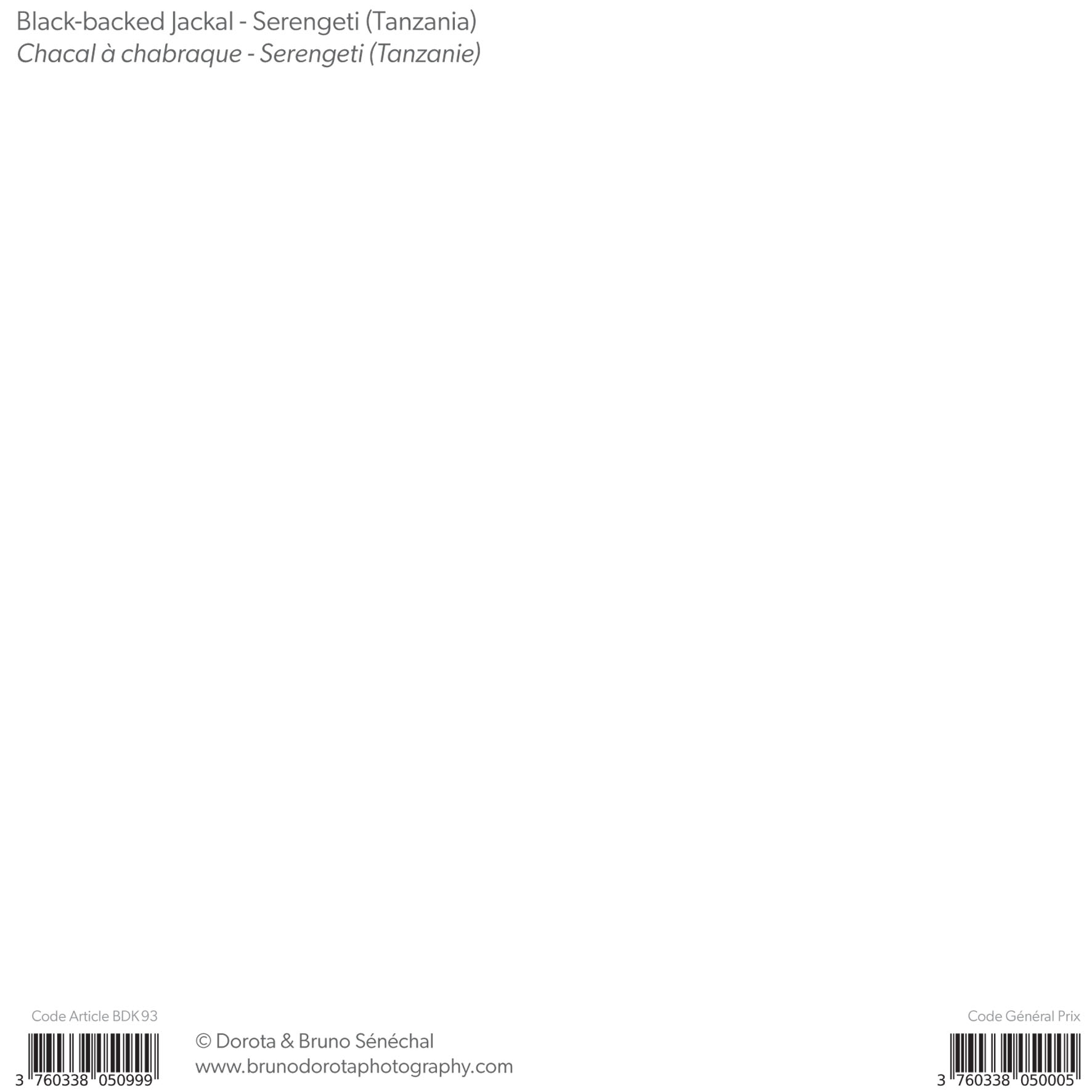 Grand aperçu produit: assets/model/product/93.jpg