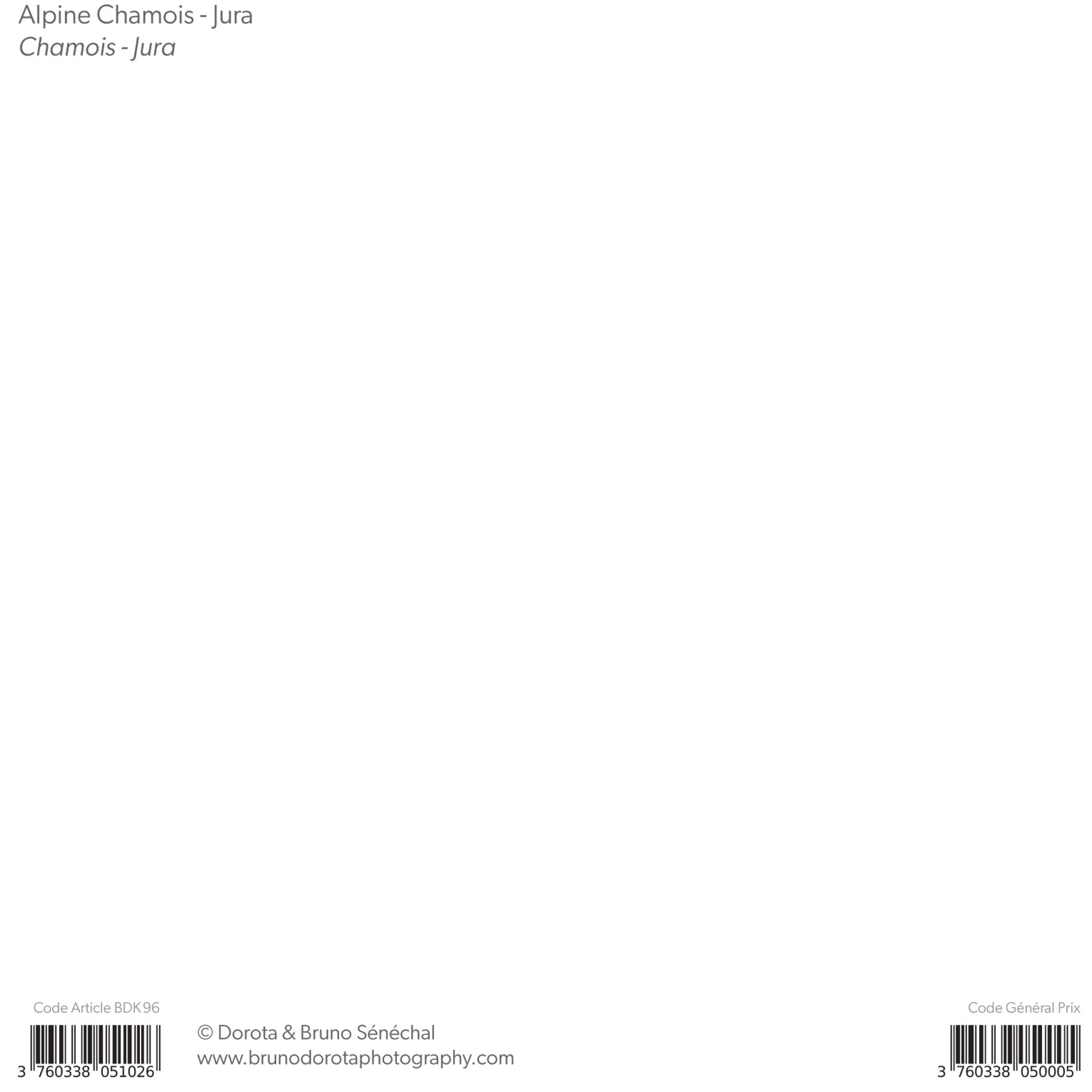 Grand aperçu produit: assets/model/product/96.jpg