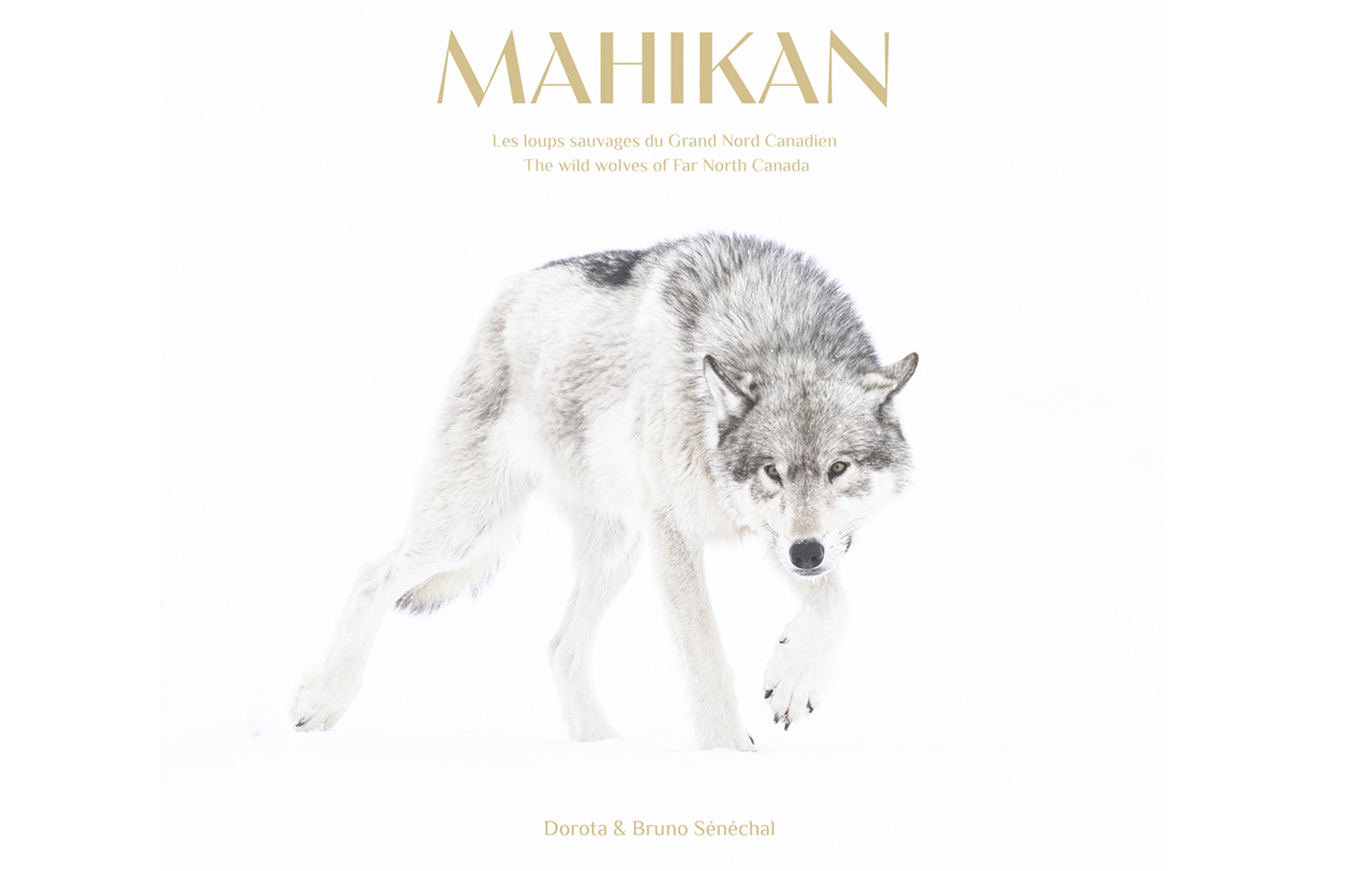 Movie - Mahikan - The Wild Wolves of Far North Canada