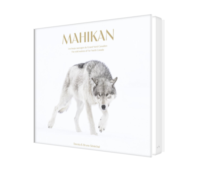 Livre - Mahikan - Précommande