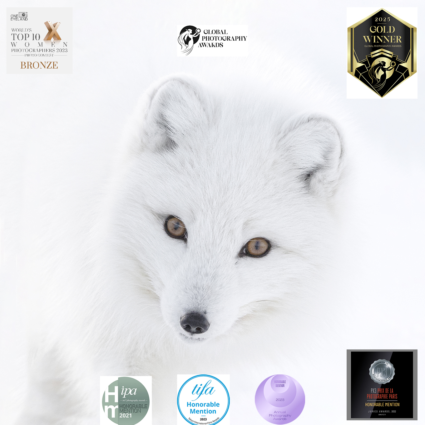 Photo de concours