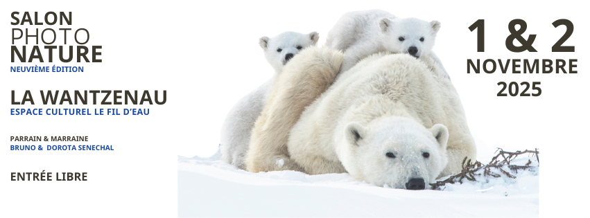 Festival La Wantzenau - Novembre 2025